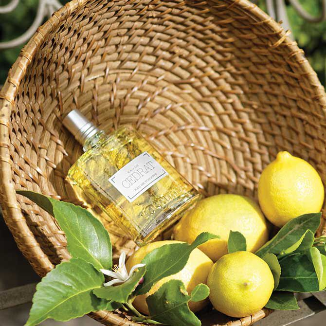 CEDRAT EAU DE TOILETTE